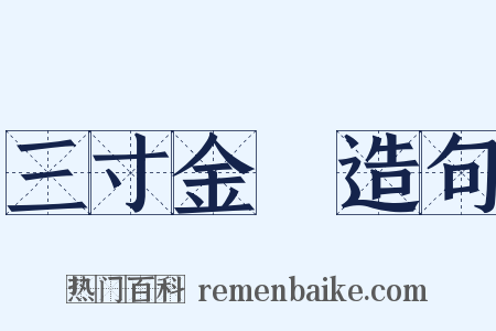 三寸金蓮造句是什么意思的图片